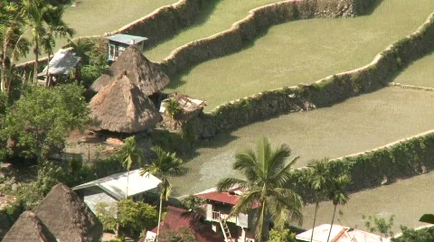 Batad rice terraces 21 Stock Footage 511893