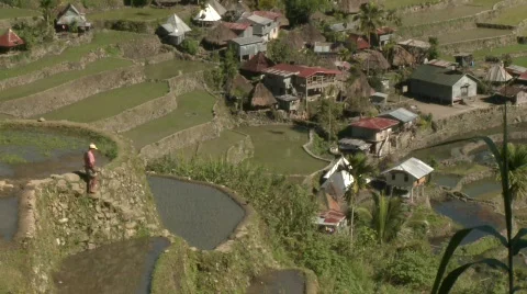 Batad rice terraces 26 Stock Footage 511877