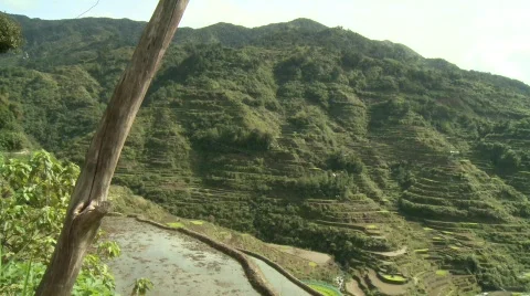 Batad rice terraces 28 Видео 514668