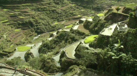 Batad rice terraces 29 Stock Footage 514662