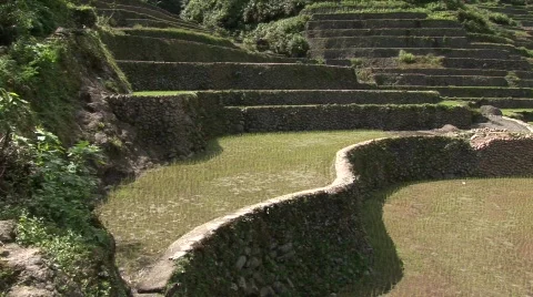 Batad rice terraces 34 스톡 동영상 516193