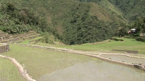 Batad rice terraces 38 Stock Footage 516157