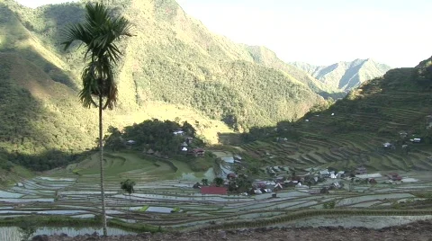 Batad rice terraces 42 Stock Footage 516114