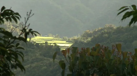 Batad rice terraces 5 Stock-Footage 511058