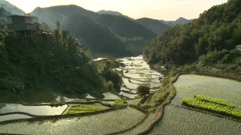 Batad rice terraces 6 스톡 동영상 511052