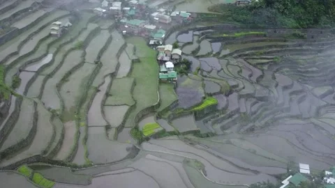 Batad Rice Terraces covered in fogs Stock Footage 224644653