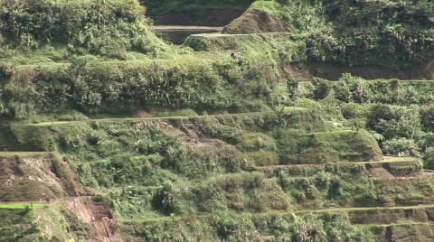 Batad rice terraces  Stock Footage 517512