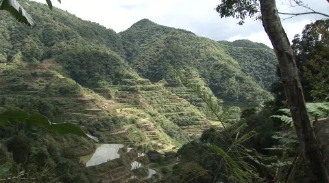 Batad rice terraces  Stock Footage 517519
