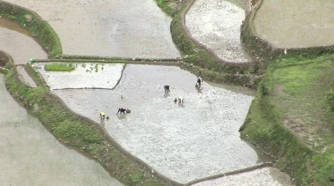 Batad rice terraces  Stock Footage 517976