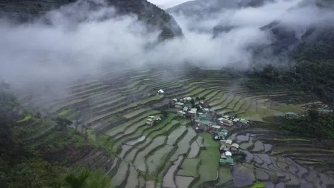 Batad Rice Terraces Stock Footage 224644147