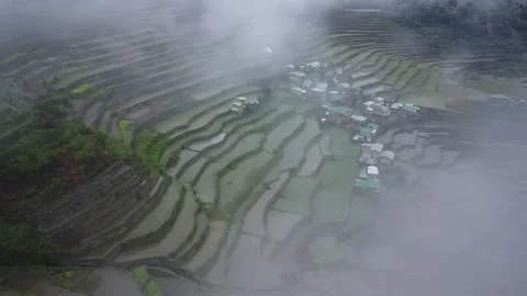 Batad Rice Terraces Stock Footage 224644618