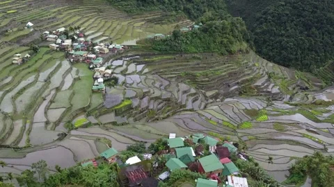 Batad Rice Terraces Stock Footage 224644876