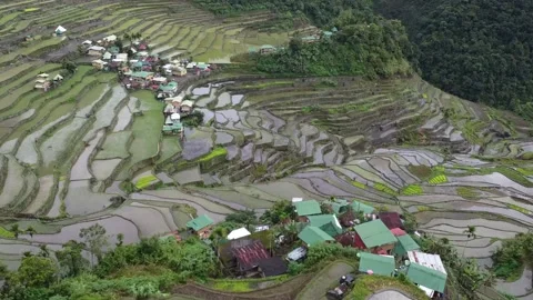 Batad Rice Terraces Stock Footage 224644914