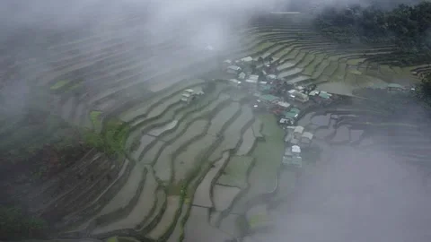 Batad Rice Terraces Stock Footage 224644921