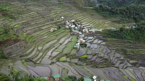 Batad Rice Terraces Stock Footage 224646169