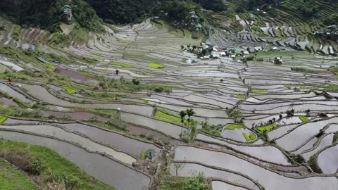Batad Rice Terraces Stock Footage 224646232