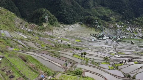 Batad Rice Terraces Stock Footage 224646236
