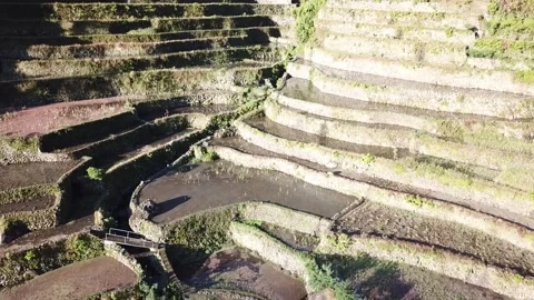 Batad Rice Terraces in the Philippines - Drone shot Stock Footage 131428567