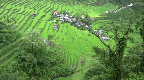 Batad rice terraces, Philippines Stock Footage 12413029