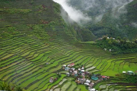 Batad Rice Terraces Stock Photos