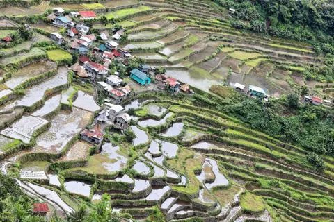 Batad village-rice terraces seen from lodging area. Banaue-Ifugao-Luzon-PH 0132 Stock Photos