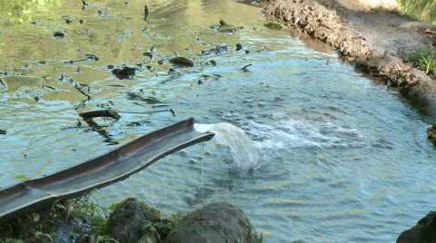 Batad water for irrigation 3 Stock Footage 516103