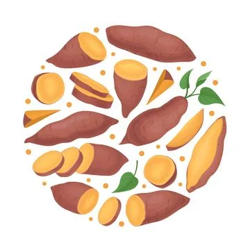 Batata or Sweet Potato Root Vegetable Round Arrangement Vector Template Stock Illustration