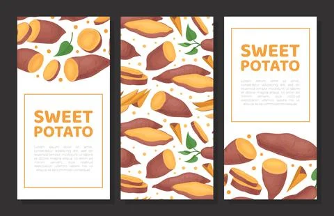 Batata or Sweet Potato Root Vegetable Vertical Banner Design Vector Template Stock Illustration