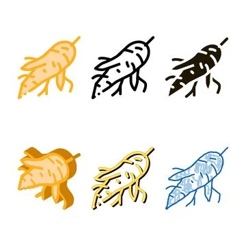 Batata vegetable icon vector outline simplified Stock Illustration