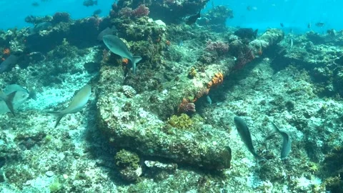 Batavia Shipwreck Anchor Stock Footage 139680383