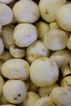 A batch of Button Mushrooms Stock Photos