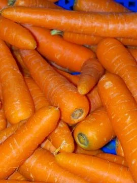 A batch of Carrots closeup Stock Photos