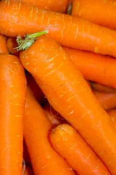 A batch of Carrots closeup Stock Photos