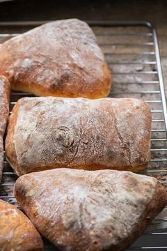 Batch of ciabatta bread on a cooling rack. Stock Photos