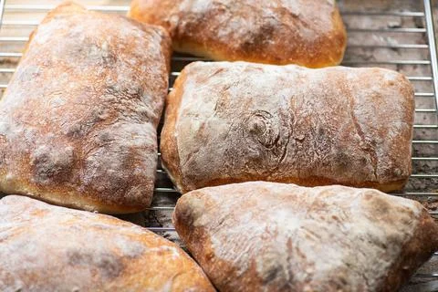 Batch of ciabatta bread on a cooling rack. Stock Photos