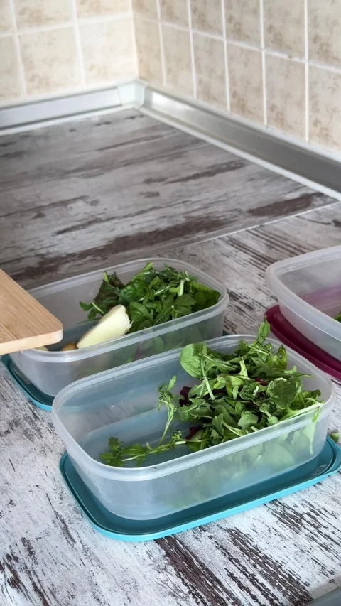 Batch Cooking Salad Boxes with Greens and Potatoes Stock-Footage 340340911