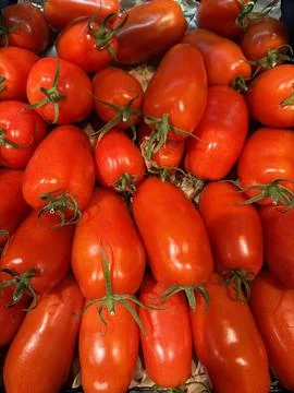 Batch of fresh tomatoes Stock Photos