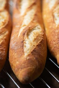Batch of freshly baked baguettes background. Stock Photos