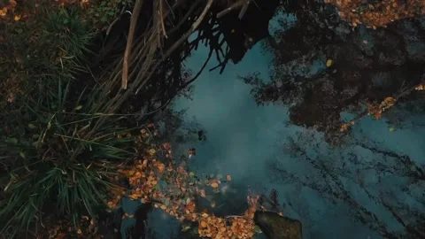 Batch Raw River 4K Footage Stock Footage 253795814