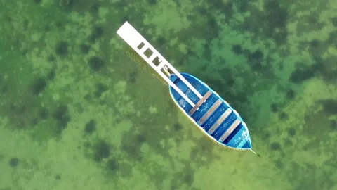 Bateaux joutes Stock Footage 194437639