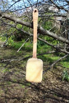 Bath brush in the natural environment on the tree Stock Photos