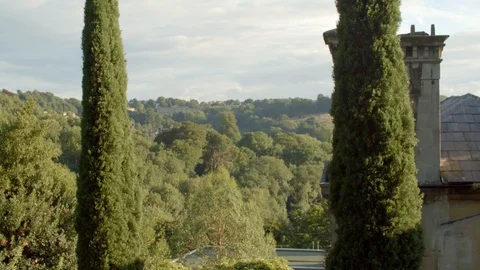 Bath City 4K manicured trees sway in wind during dusk Stock Footage 112534772