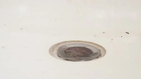 Bath clogging concept. Water drain is clogged with hair. Stock Footage 142438032