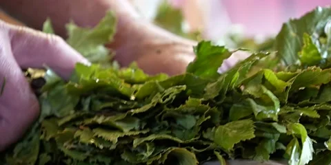 Bath. Close-up. steam room Stock Footage 235787967
