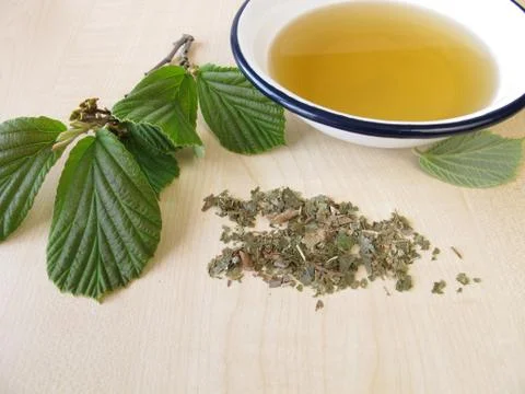 Bath essence with hamamelis Stock Photos