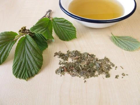 Bath essence with hamamelis Stock Photos