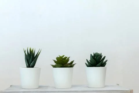 Bath interior tools Stock Photos