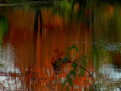Bath Maine  Autumn Stock Footage 20569993