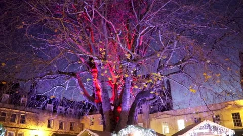 Bath, night, lit tree, somerset 스톡 동영상 137674407