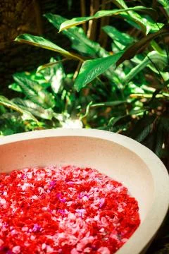 Bath with petals Stock Photos